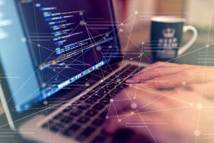 自助建站五步走，輕松掌握技術(shù)開發(fā)核心